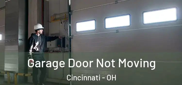  Garage Door Not Moving Cincinnati - OH