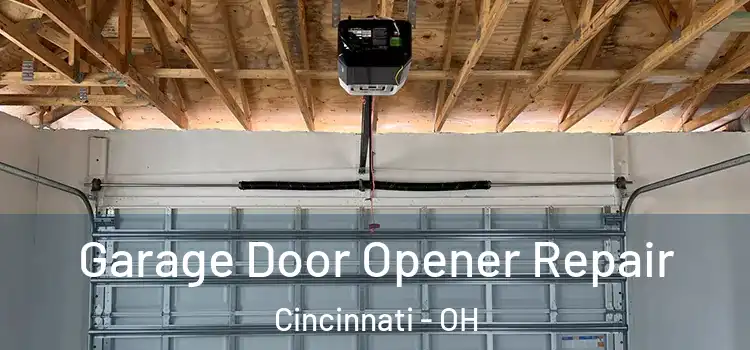  Garage Door Opener Repair Cincinnati - OH